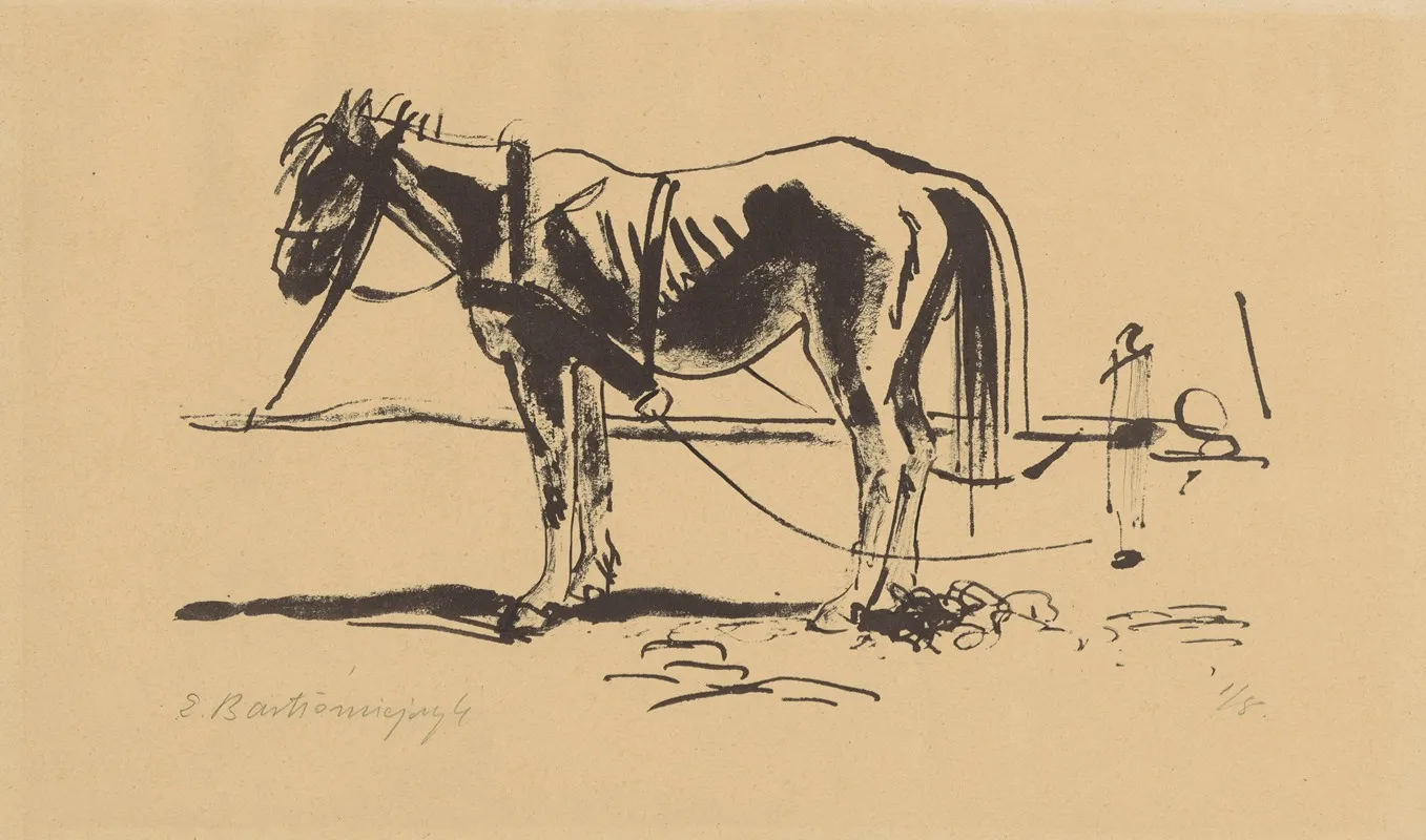 Kon W Zaprzegu I