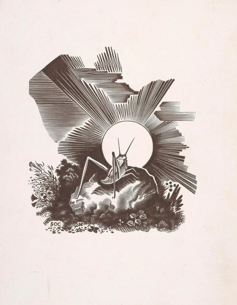 Konik Polny Ilustracja Do Song Of The Little Indian Mais