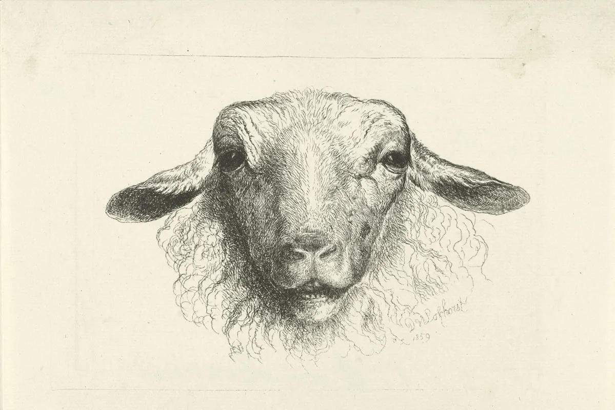Kop Van Een Schaap Van Voren Wall Art by Dirk Van Lokhorst - High-Resolution Digital Print