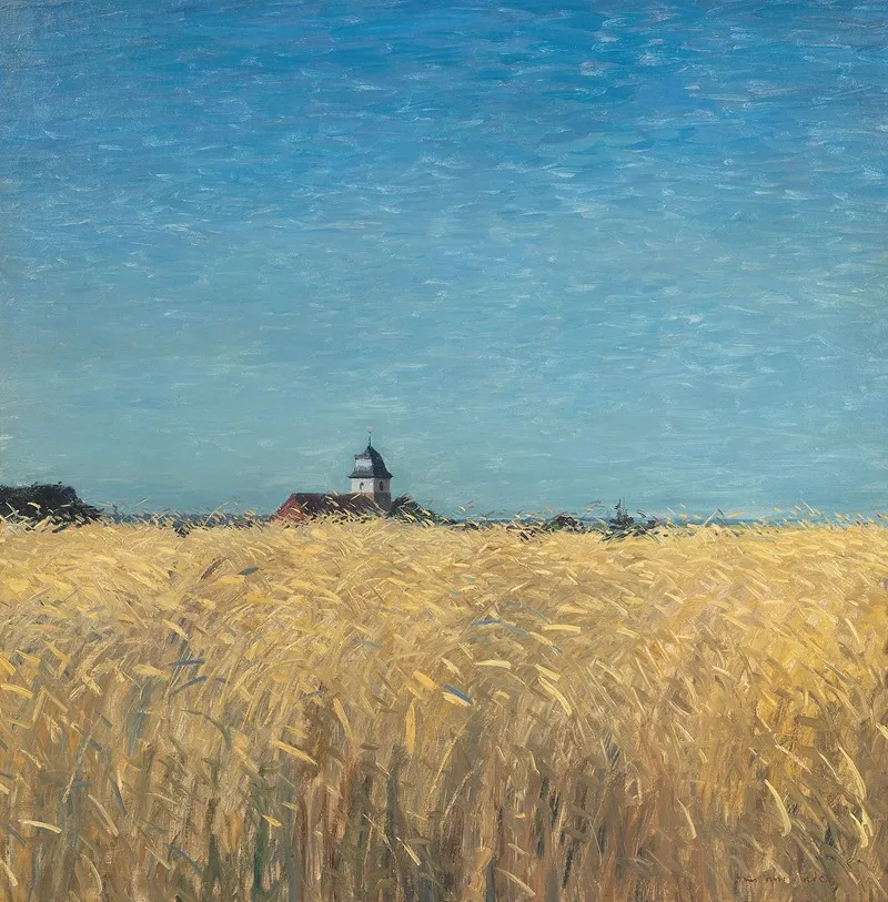 Kornfeld Im Hochsommer