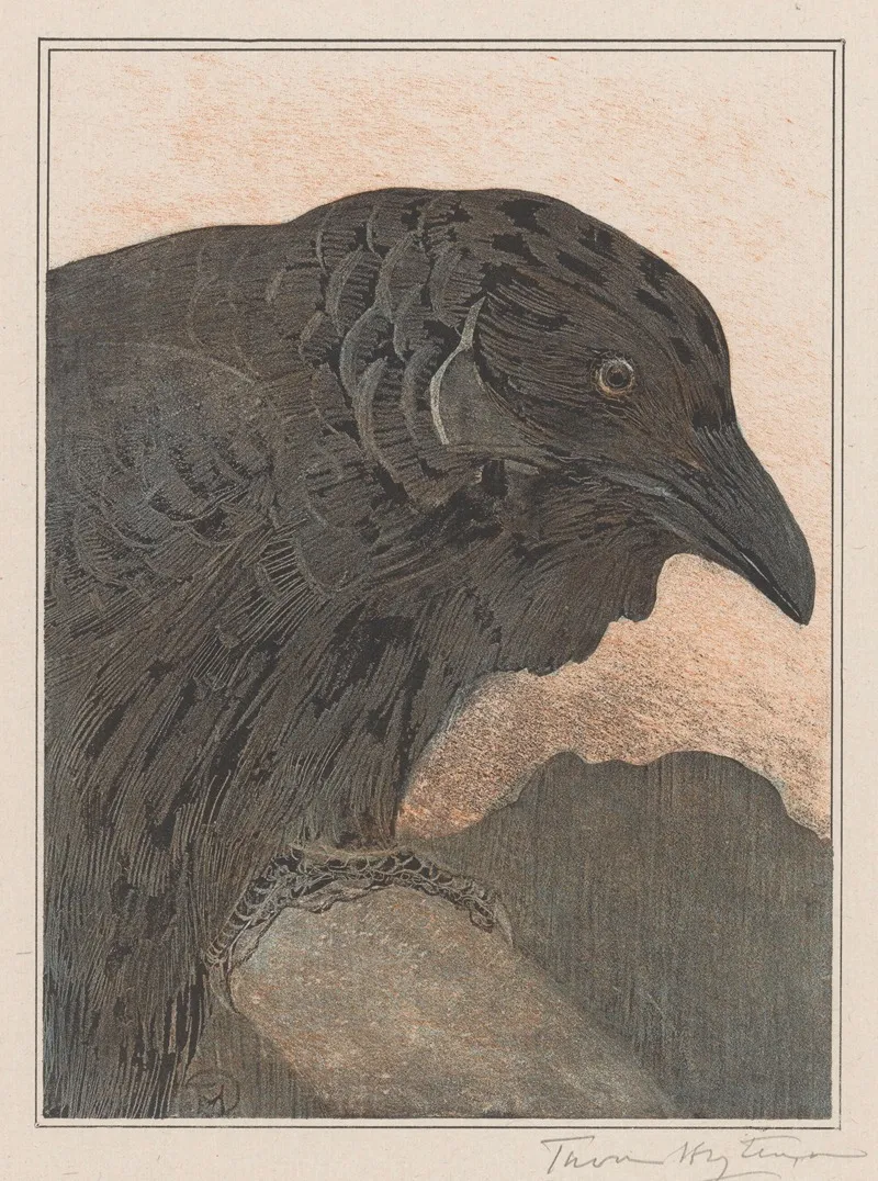 Kraai