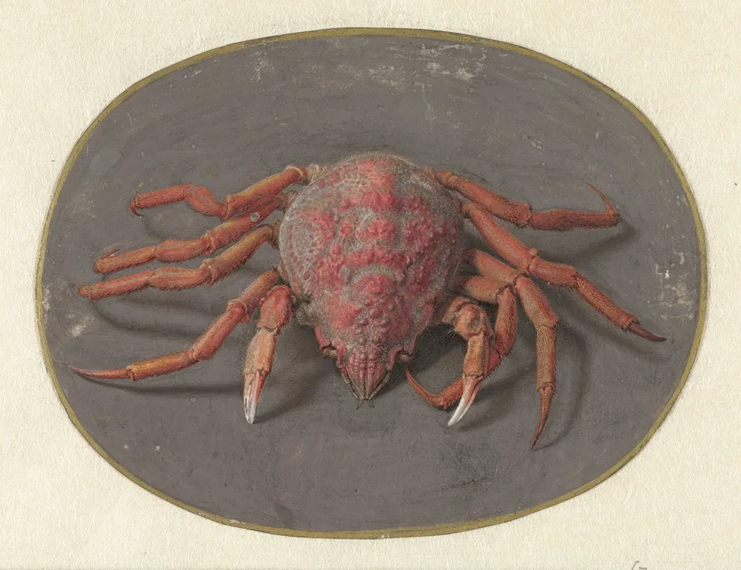 Krab Wall Art by Jan Augustin van der Goes - High-Resolution Digital Print