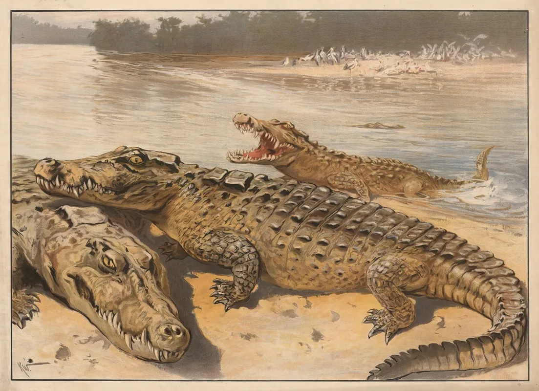Krokodille Wall Art by Karl Wagner - High-Resolution Digital Print