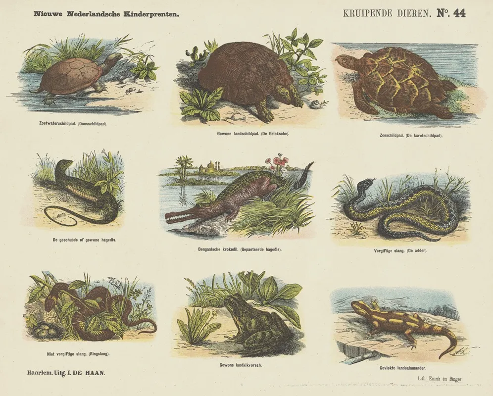 Kruipende Dieren
