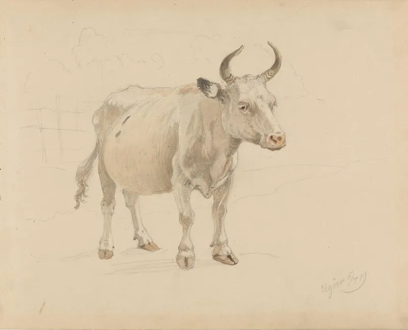 Ku Med Horn