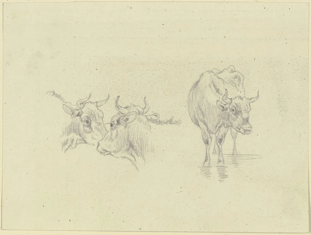 Kuh Im Wasser Und Zwei Kuhkopfe Wall Art by Max Joseph Wagenbauer - High-Resolution Digital Print