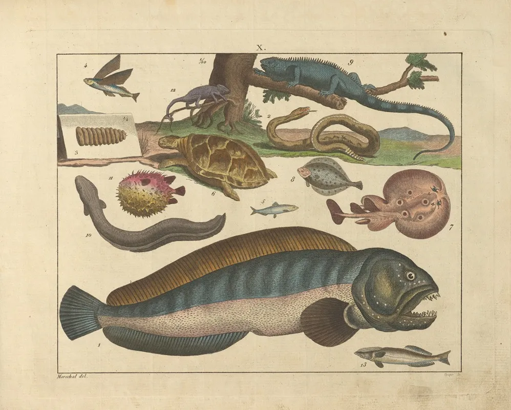Kupfer Sammlung Besonders Zu Funke Naturgeschichte Und Technologie Pl 09 Wall Art by Schulbuchhandlung - High-Resolution Digital Print