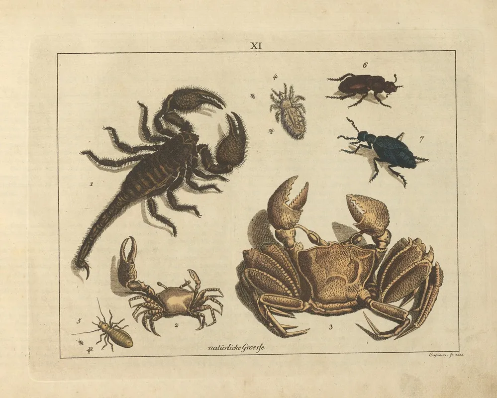 Kupfer Sammlung Besonders Zu Funke Naturgeschichte Und Technologie Pl 10 Wall Art by Schulbuchhandlung - High-Resolution Digital Print