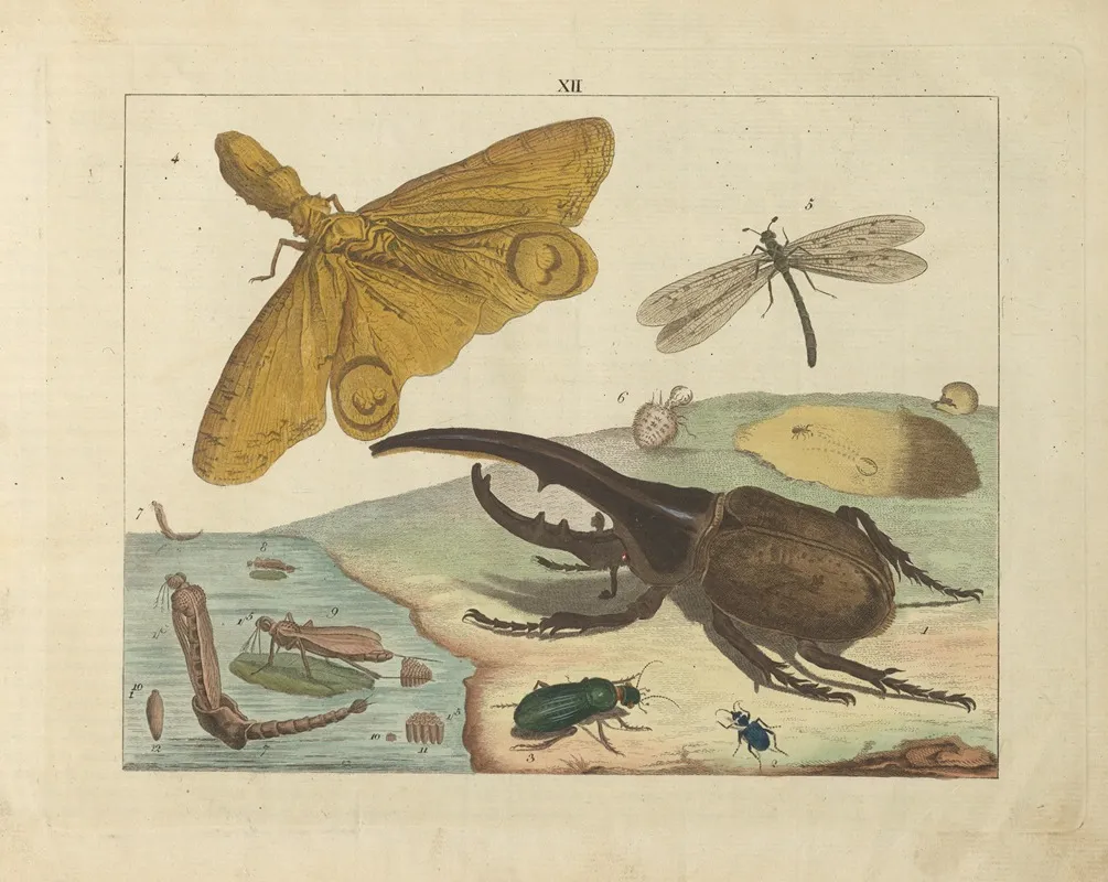 Kupfer Sammlung Besonders Zu Funke Naturgeschichte Und Technologie Pl 11 Wall Art by Schulbuchhandlung - High-Resolution Digital Print