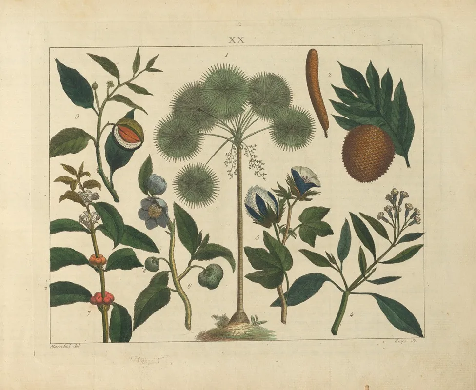 Kupfer Sammlung Besonders Zu Funke Naturgeschichte Und Technologie Pl 19 Wall Art by Schulbuchhandlung - High-Resolution Digital Print