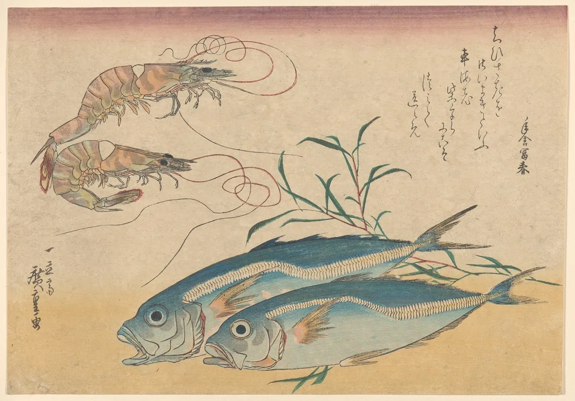 Kuruma Ebi Aji Prawns And Horse Mackerel