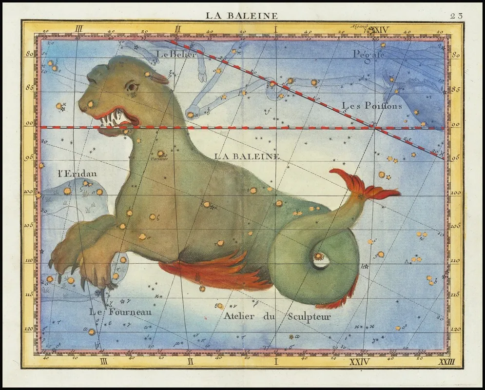 La Baleine Cetus Wall Art by John Flamsteed - High-Resolution Digital Print