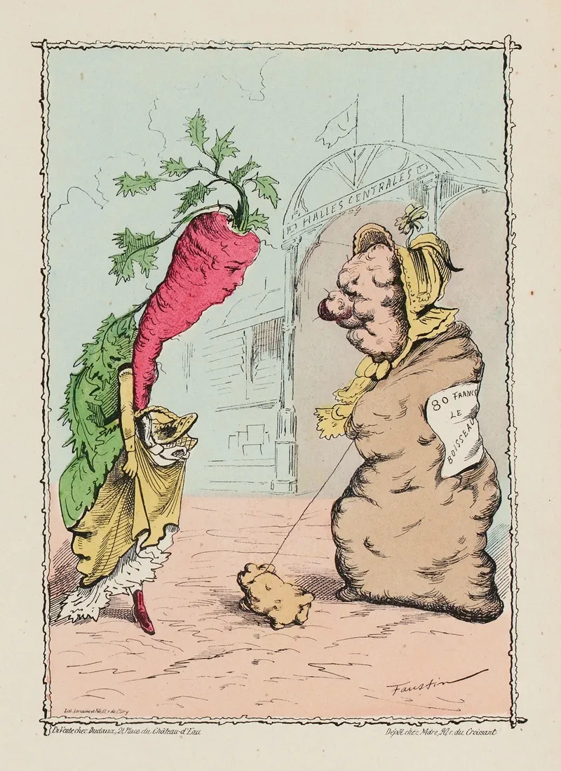 La Carotte La Pomme De Terre
