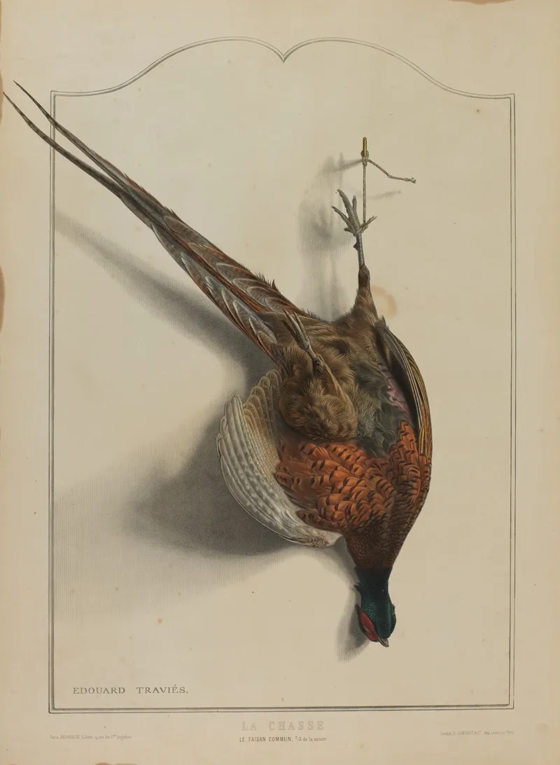 La Chasse Le Faisan Commun Wall Art by Édouard Traviès - High-Resolution Digital Print