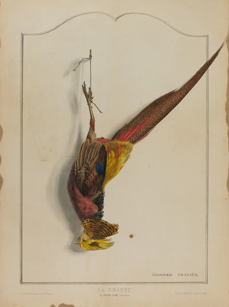 La Chasse Le Faisan Dore Wall Art by Édouard Traviès - High-Resolution Digital Print