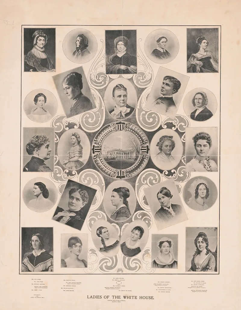 Ladies Of The White House Wall Art by James Drummond Ball - High-Resolution Digital Print