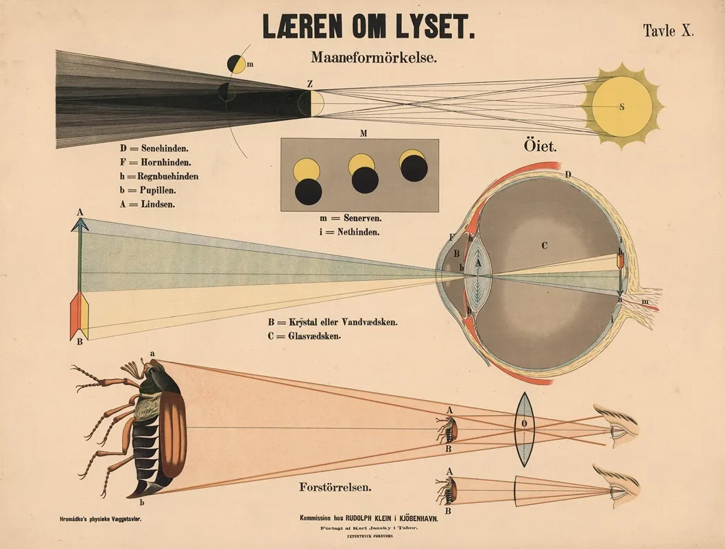 Laeren Om Lyset Wall Art by František Hromádko - High-Resolution Digital Print