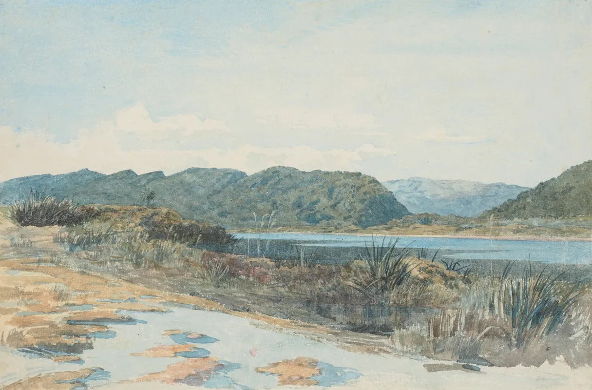 Lagoon At Greymouth