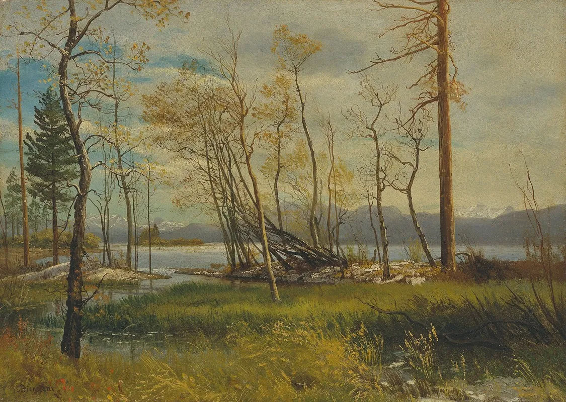 Lake Tahoe Wall Art by Albert Bierstadt - High-Resolution Digital Print