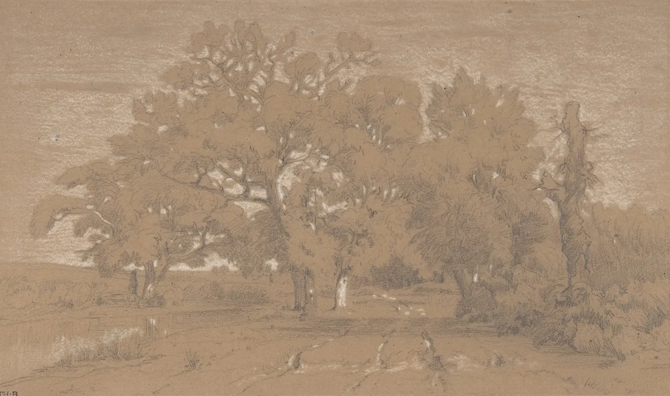 Landscape 186