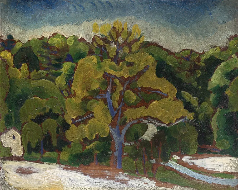 Landscape 19