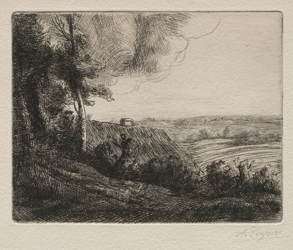 Landscape 2 11