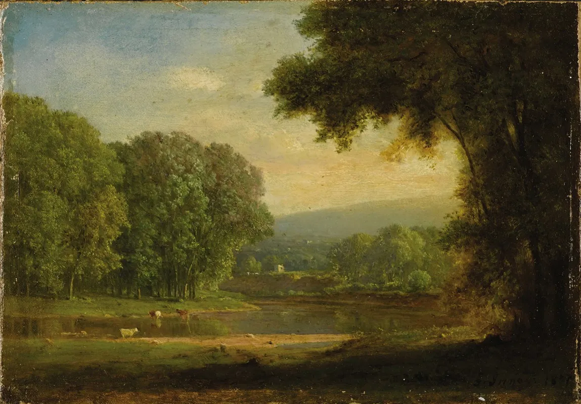 Landscape 215