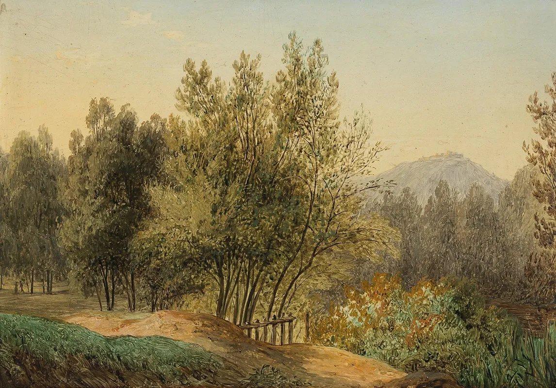 Landscape 258