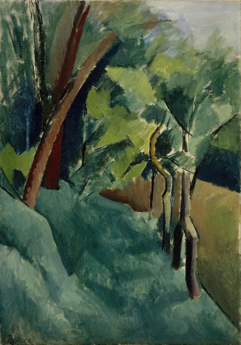 Landscape 355