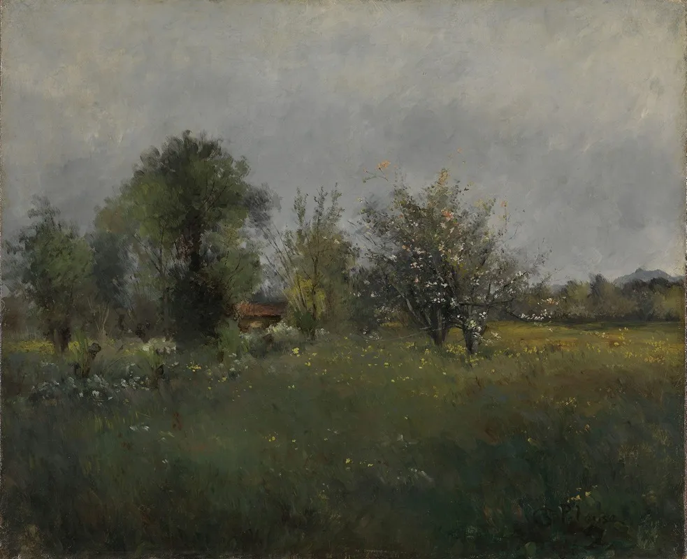 Landscape 373