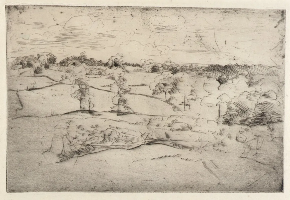 Landscape 429