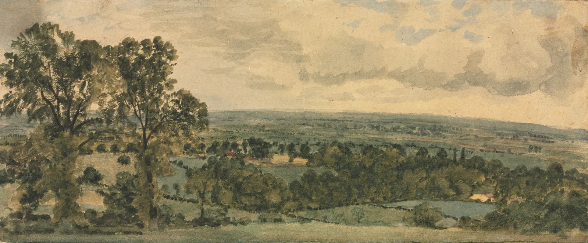 Landscape 465