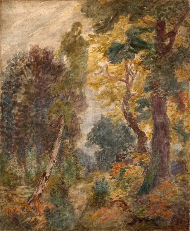 Landscape 487