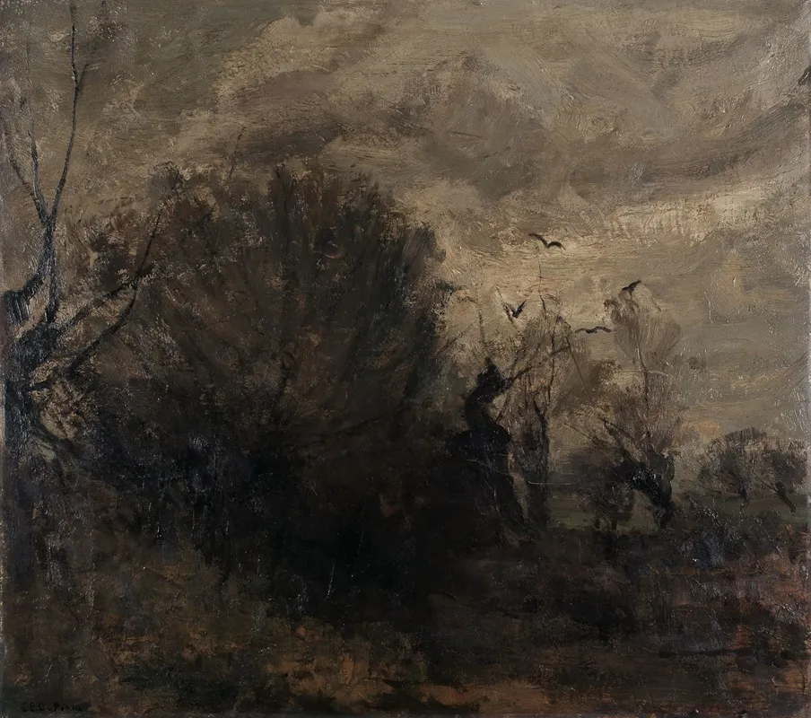 Landscape 570