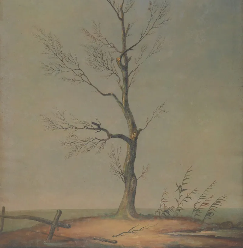 Landscape 576