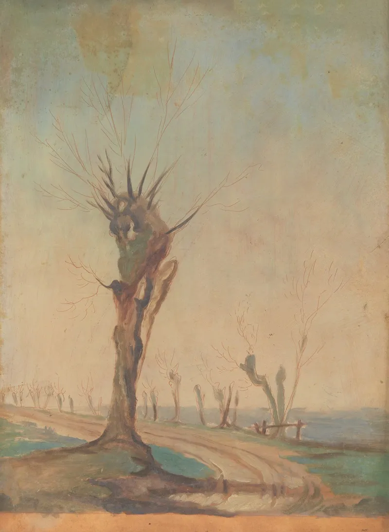 Landscape 582