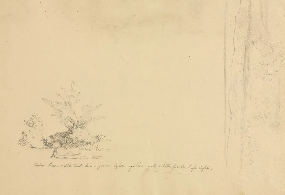 Landscape And Tree Studies Verso
