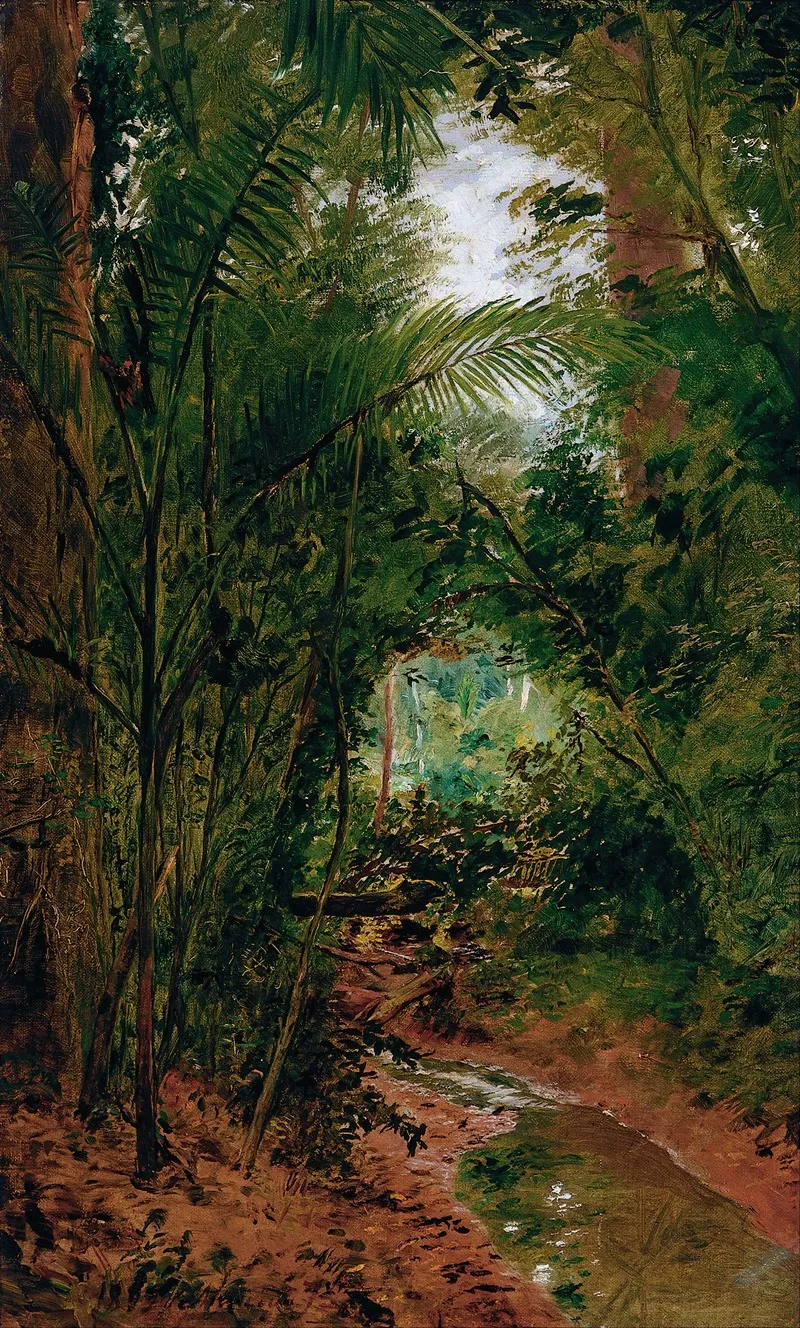 Landscape At The Rio Das Pedras