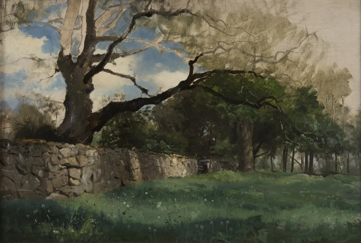 Landscape At Torsebro Near Kristianstad