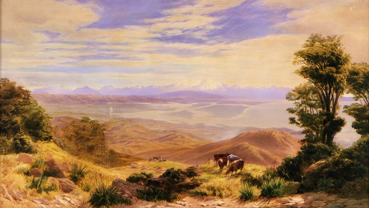 Landscape Nelson