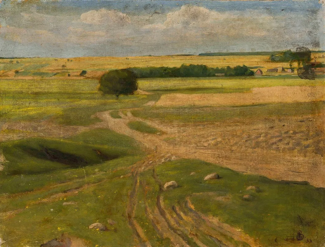 Landscape Of Fields