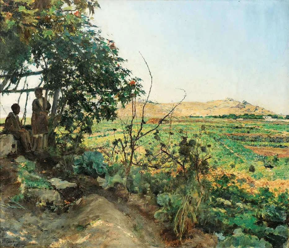 Landscape Of The Suburbs Of Tunis