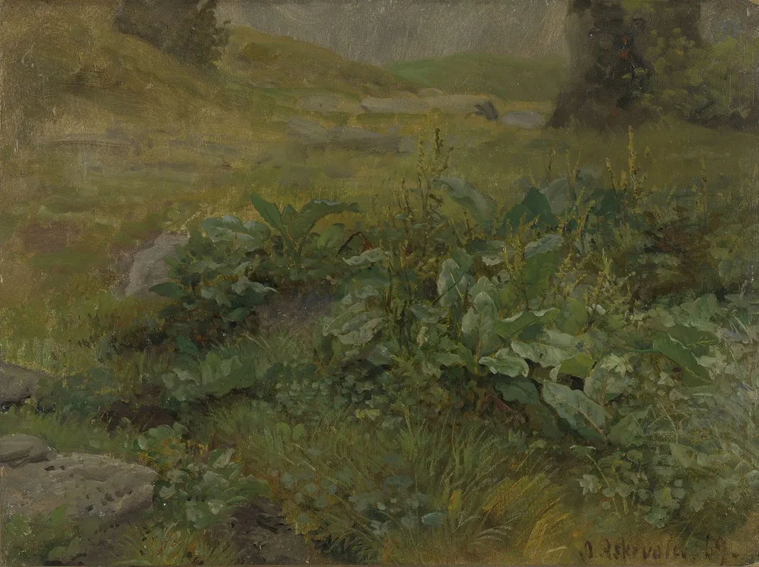 Landscape Study 9