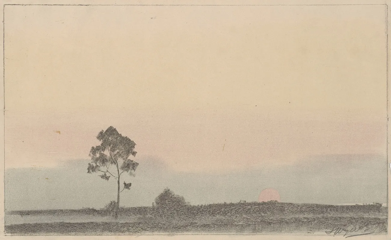 Landscape With A Lonely Pine Tree At Sunset