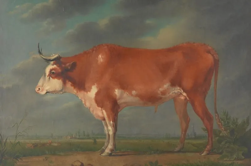 Landscape With Cow 3