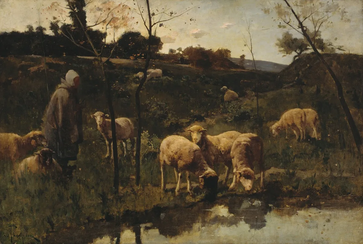 Landscape With Sheep Picardy