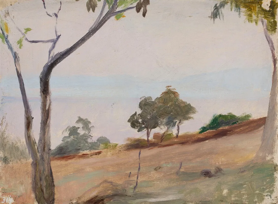 Landscape With Trees From The Journey To Constantinople
