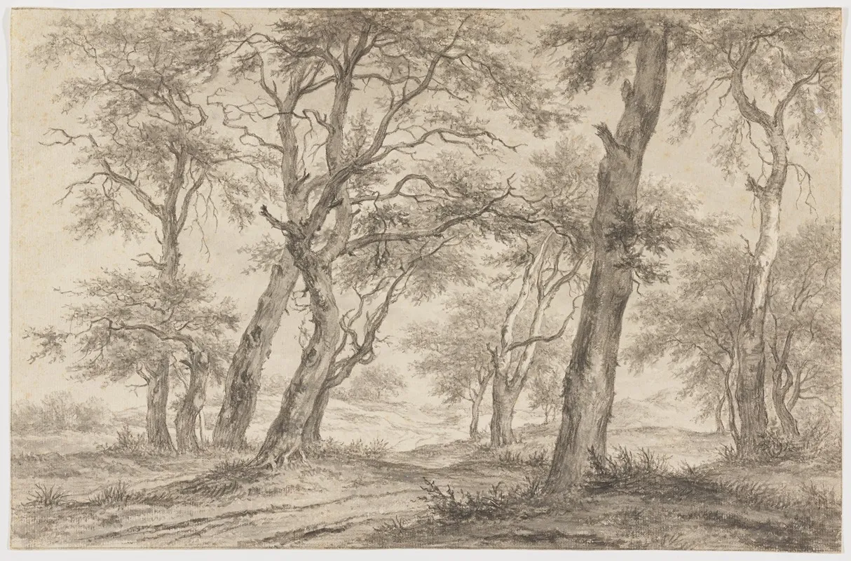 Landscape With Trees Near Hillegom