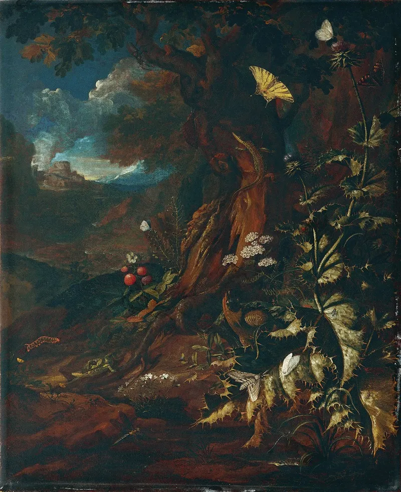 Landschaft Mit Reptilien Und Insekten 2 Wall Art by Johann Adalbert Angermayer - High-Resolution Digital Print