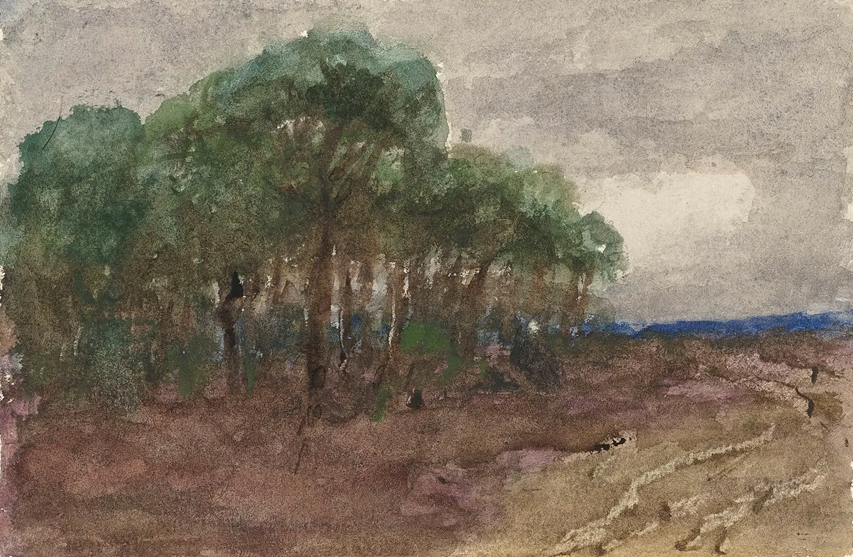 Landschap 6